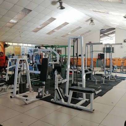 GIMNASIO PUNTO VITAL Y KINESIOLOGIA (Fonasa e Isapres)