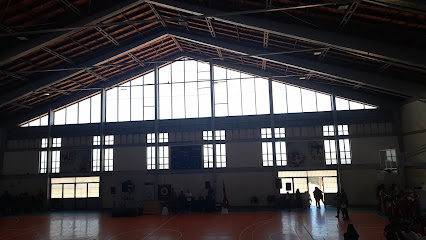 Gimnasio José Rojas Zamora - Ex Montemar