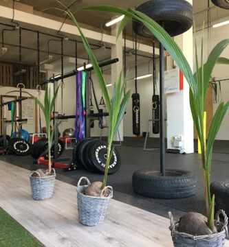 AUT - CROSSTRAINING & CALISTENIA - BASE.PACÍFICO