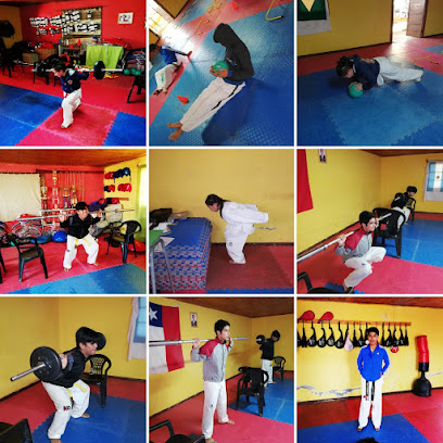 taekwondo combarbala