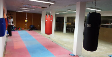 Escuela De Boxeo Arauco