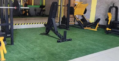 ActionFit