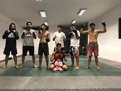 Gimnasio 8 Esquinas Mma y Jiujitsu