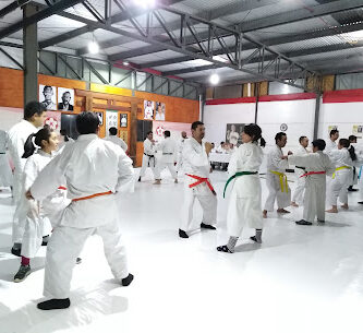 Miyazato Dojo Linares Chile.