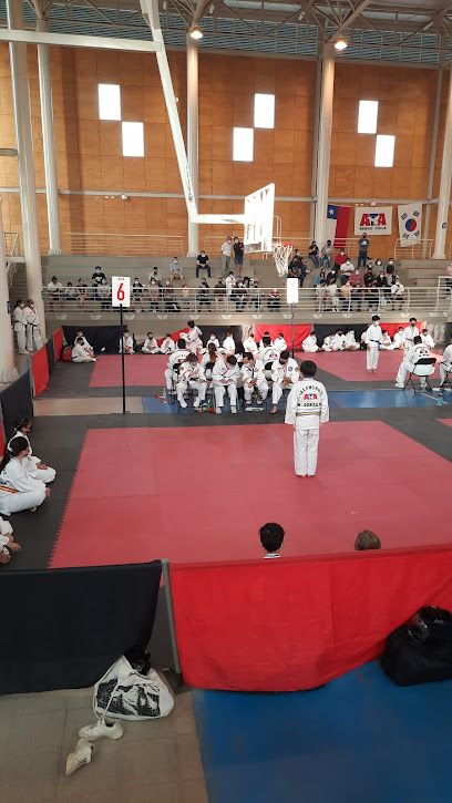 Gimnasio Municipal De Pirque