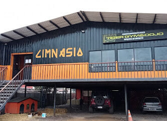 Academia de artes marciales y gym Tiger