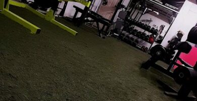 Muscle Factory Copiapó