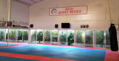 Escuela de Karate Jessy Reyes