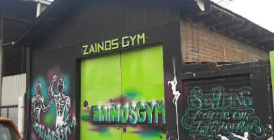 Gimnasio Zainos