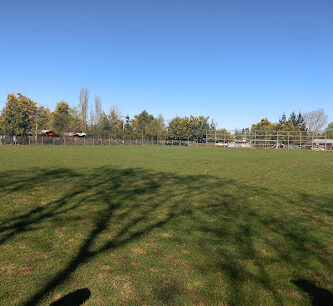 Cancha nacional de cato