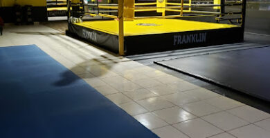 TEAM BARRIO FRANKLIN Gimnasio MMA Santiago Artes Marciales Deporte Contacto