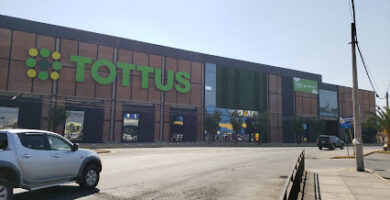 Tottus