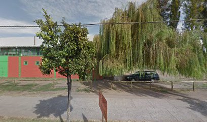 skatepark nancagua